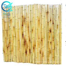 Rideau de perles de bambou personnalisé panneaux de clôture de jardin en bambou dubaï